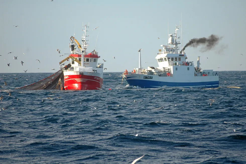 CO₂-avgiften undergraver fiskeflåtens konkurransekraft i møte med våre konkurrenter og naboland. Politisk pisk er ikke løsningen, skriver Hanna Bakke-Jensen i denne kronikken.