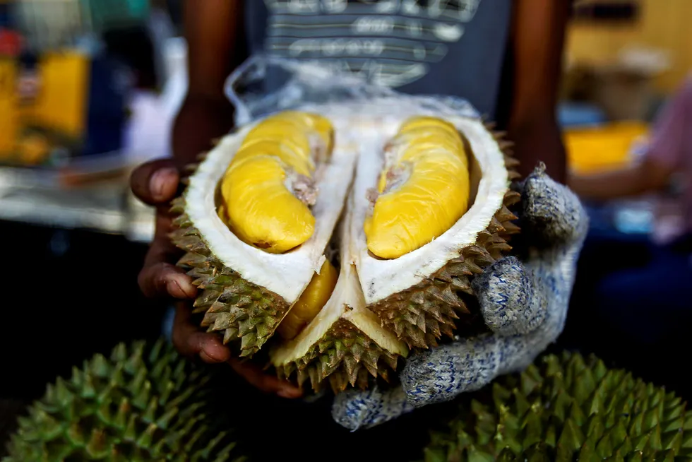 Den kinesiske middelklassen har fått sans for den sørøstasiatiske frukten durian. Den thailandske eksporten av durian til Kina økte med 700 prosent i april. Foto: Sadiq Asyraf/AP/NTB Scanpix