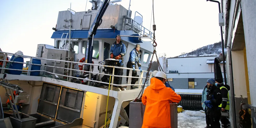 Rørvik-båten «Aud Williksen» under leveringen av fangst til Myre fiskemottak forrige uke.