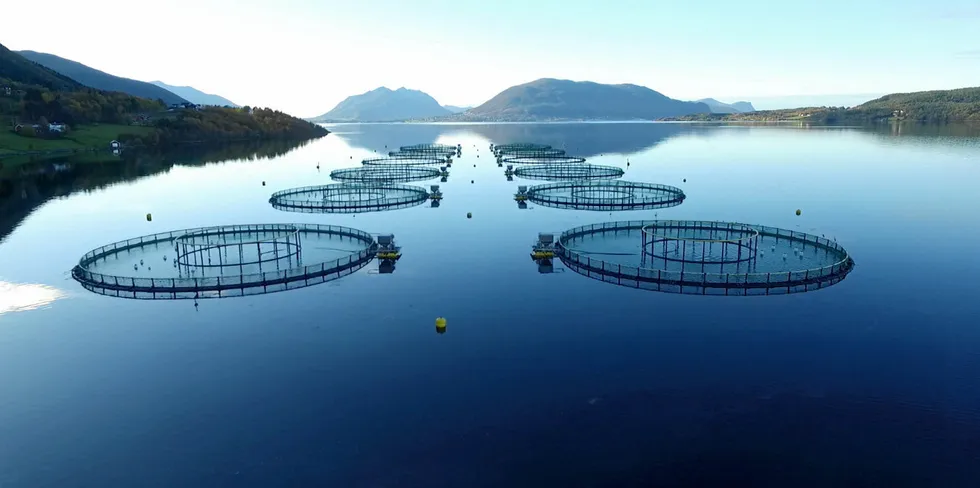 En av sjølokalitetene til Nordic Halibut. I standard lakseutstyr (120-meters ringer) produserer selskapet kveiter opp til slaktevekt på 6–7 kilo.