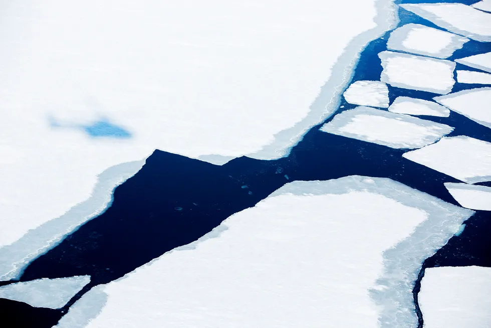 Iskanten i Arktis trekker seg nordover. Til våren blir det isfront i regjeringen om hvor langt nordover oljeselskapene skal få følge etter.