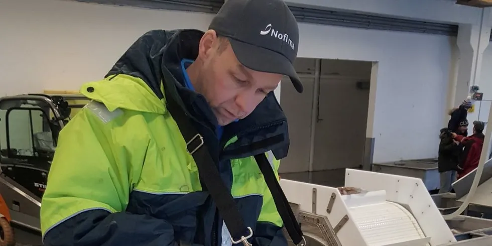 Nofima-forsker Torbjørn Tobiassen vurderer fangstskader på torsk. Foto: Nofima