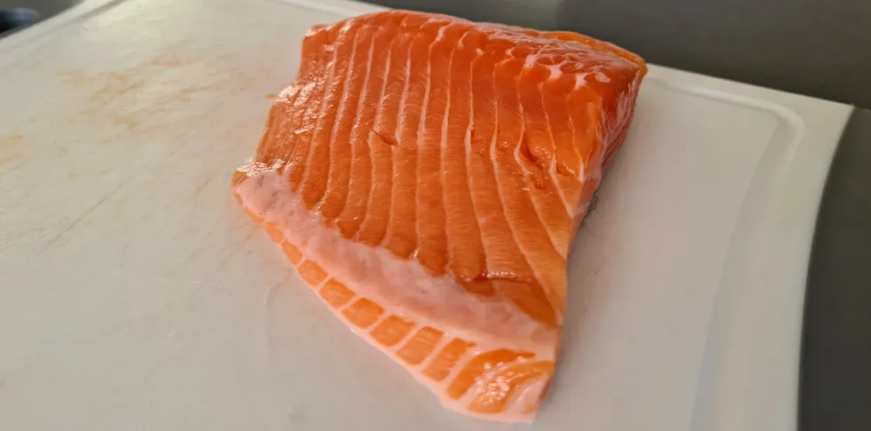 Landbasert laks fra Fredrikstad Seafood Landbased salmon from Fredrikstad Seafood