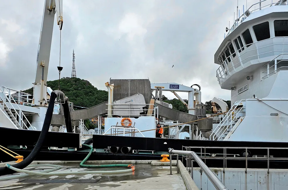 «Birkeland» er en av få båter som har levert sild til konsum. Her losses nordsjøsild hos Pelagia i Egersund.