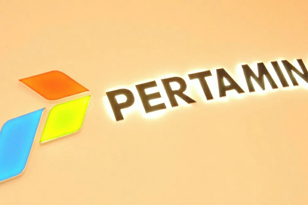 LNG terminal project stopped: by Pertamina