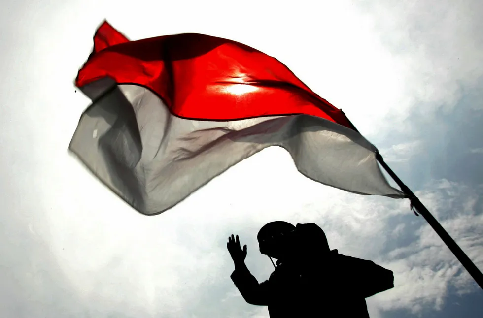Patriot: flag waving in Indonesia