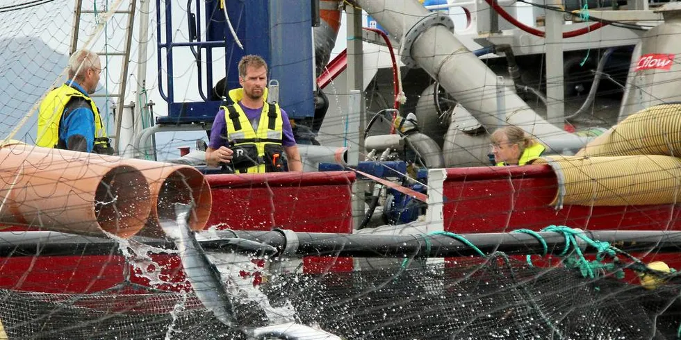 FORBUD: Fiskarlaget vil ha slutt på dagens kjemiske avlusingsmidler. På bildet er mekanisk avlusing hos SinkabergHansen