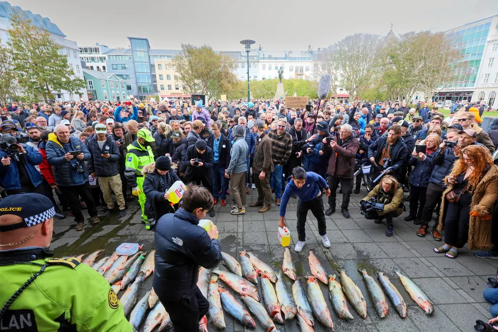 Last month, Icelanders protested against Norwegian salmon farming conglomerates and net pens.