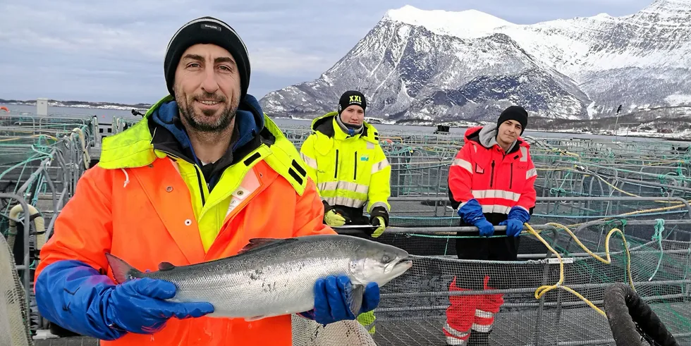 Elias Alawad jobber hos Gifas i Nordland. Han skal snart ta fagbrev.