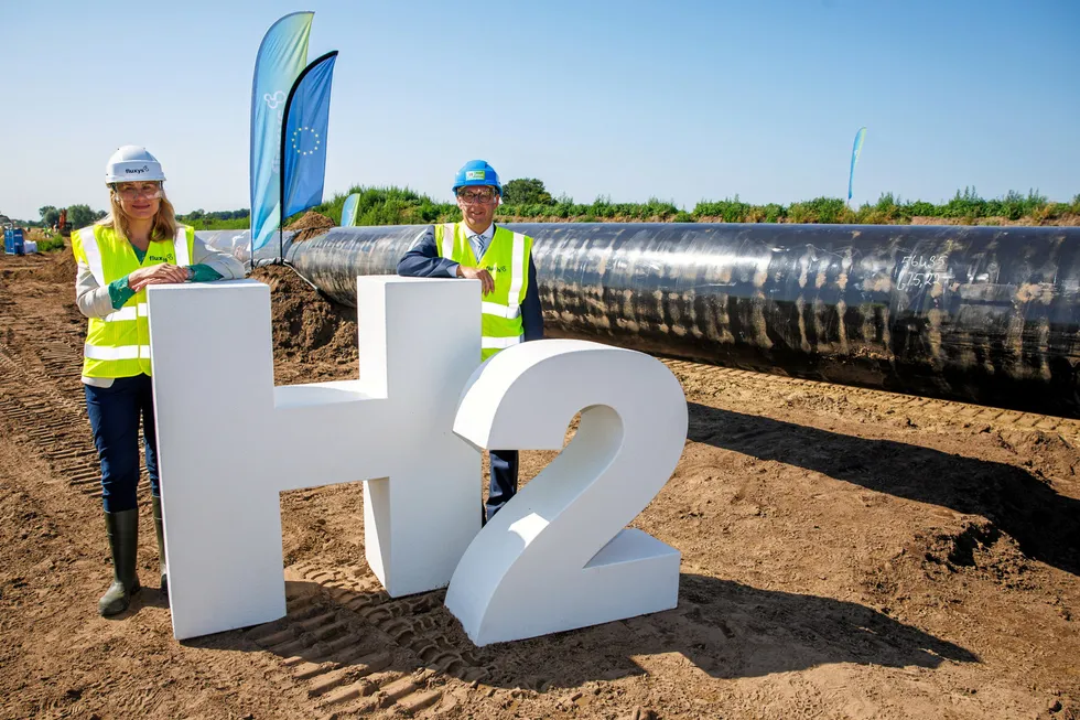Europe risks losing its industries due to slow development of an ...