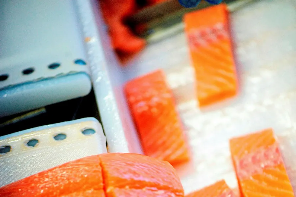 One Norwegian salmon exporter is expecting a fall of around NOK 6 (€0.63/$0.72) per kilo.