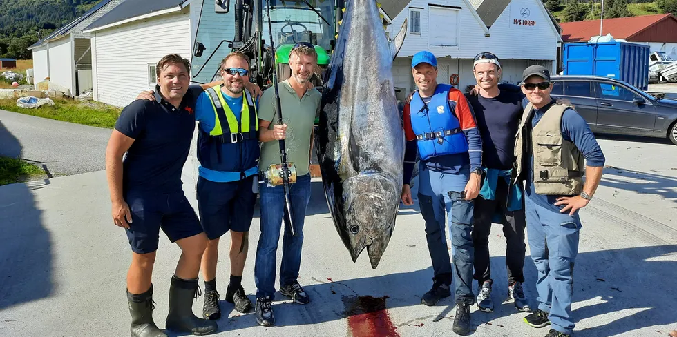 Sportsfisker Per-Christian Lillebø og vennene tok en 250 kilo makrellstørje på stang utenfor Ålesund 14. august i fjor.