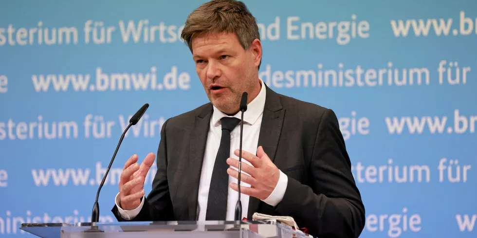 German economics and climate minister Robert Habeck.