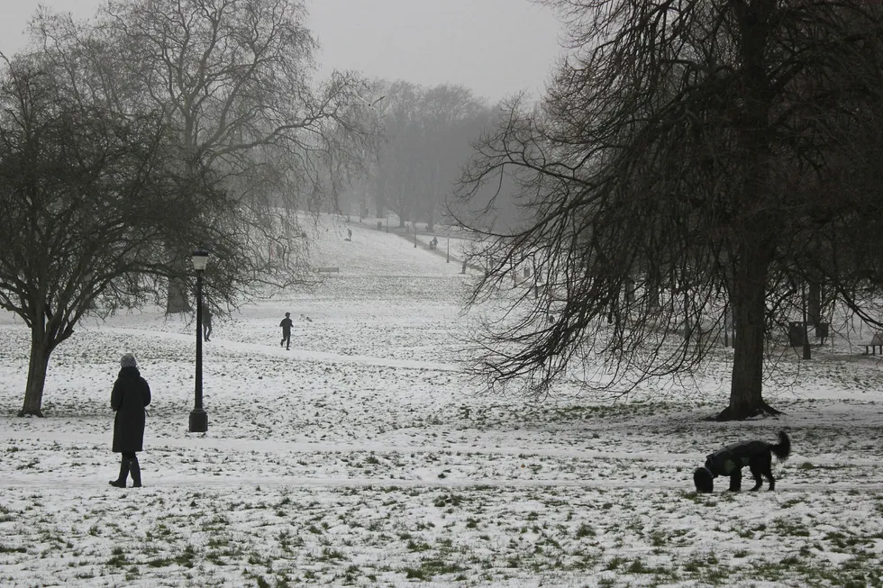 Storbritannia har i likhet med resten av Europa vært rammet av uvanlig kaldt vær de siste dagene. Dette bildet ble tatt lørdag i Primrose Hill-parken i London. Foto: Richard Cackett, AP/NTB Scanpix