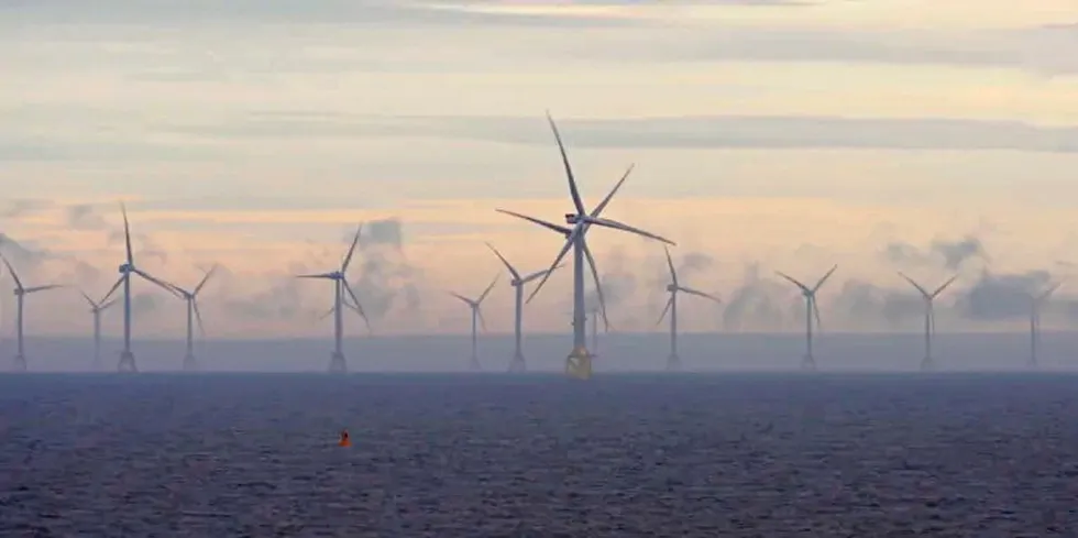 The Moray East Offshore Wind Farm.