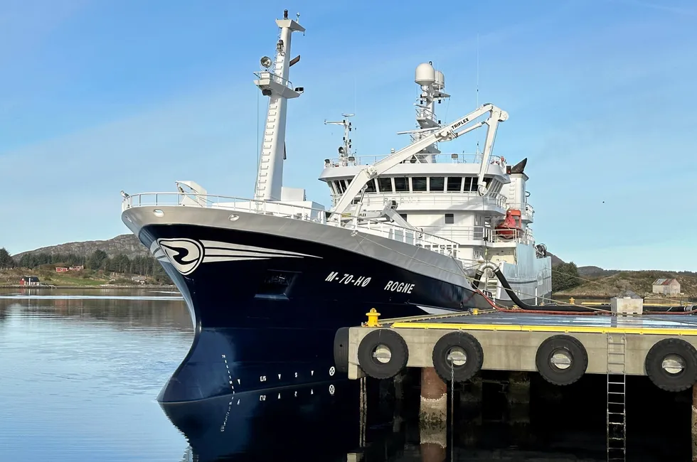 Ringnotbåten «Rogne» losser i Havøysund. Bildet er tatt tidligere.