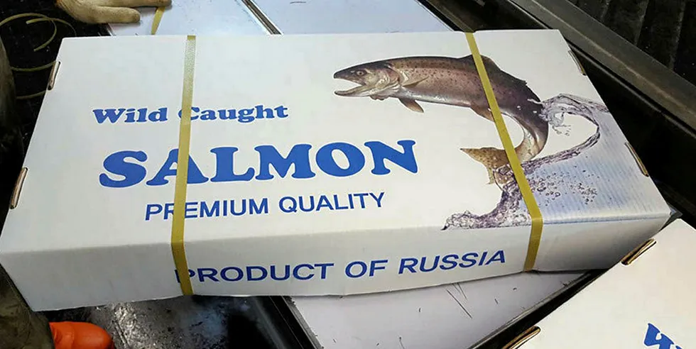 Russia's wild salmon is fetching much higher prices this season.