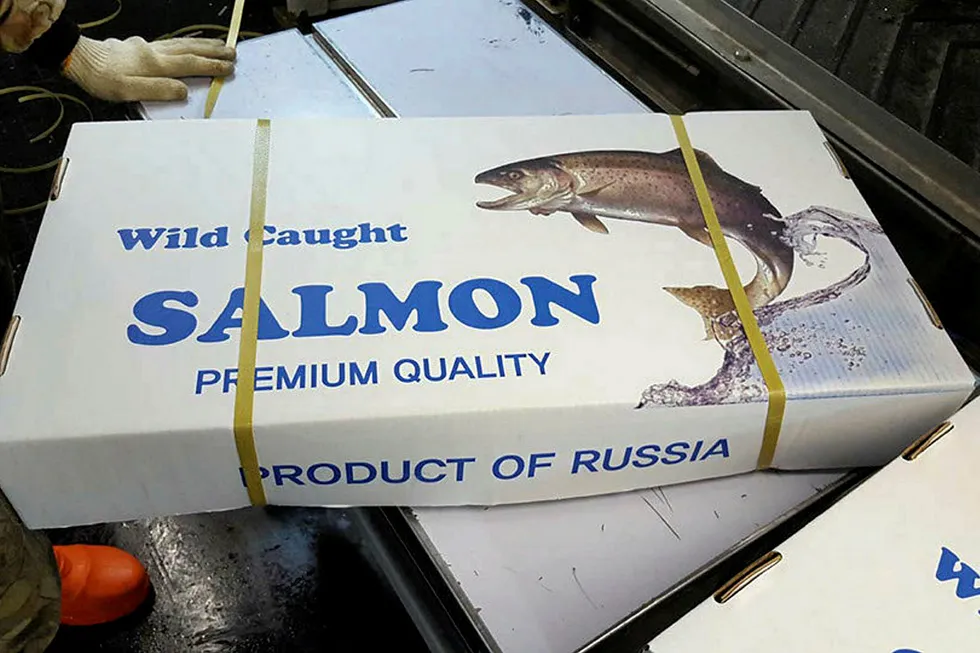 Russia's wild salmon is fetching much higher prices this season.