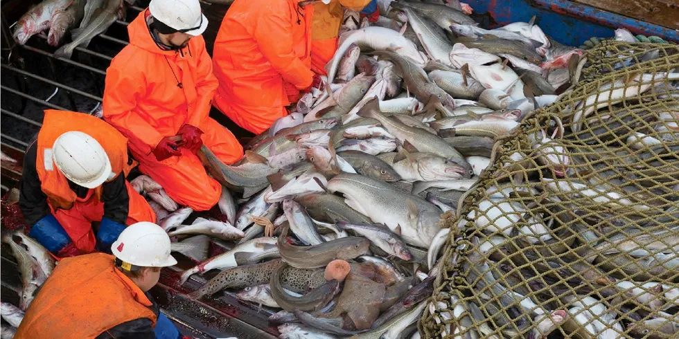 Russian pollock suppliers are much more concerned about import restrictions imposed by the EU than those recently implemented by the United States.