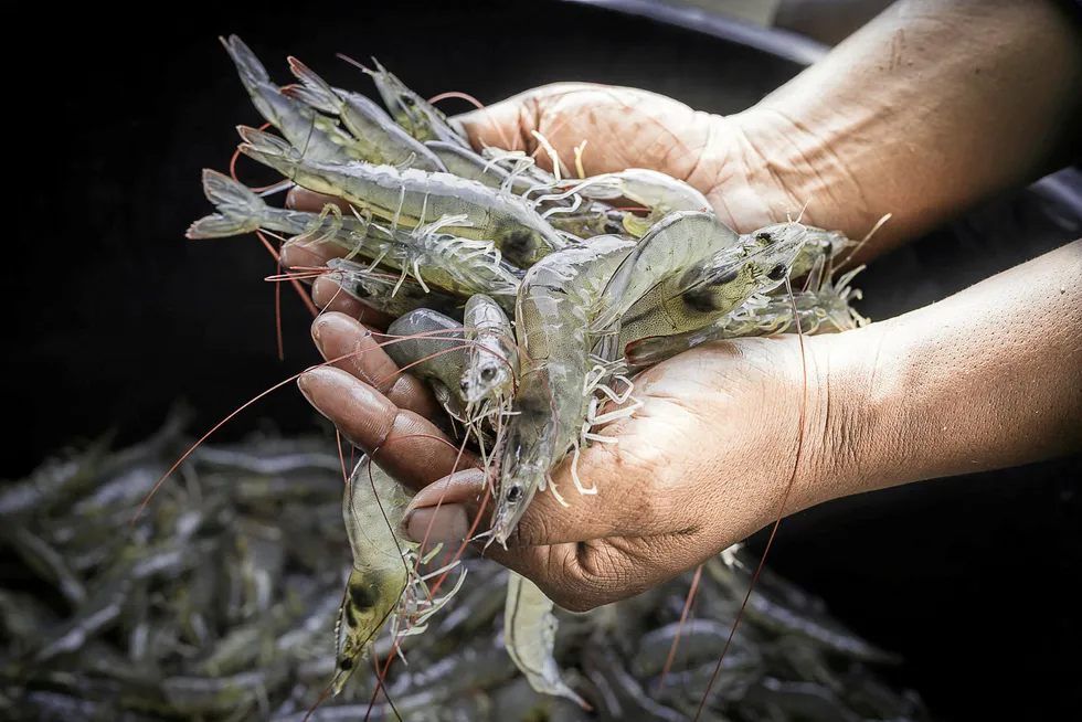 CPF is investing in a Sri Lankan shrimp producer.