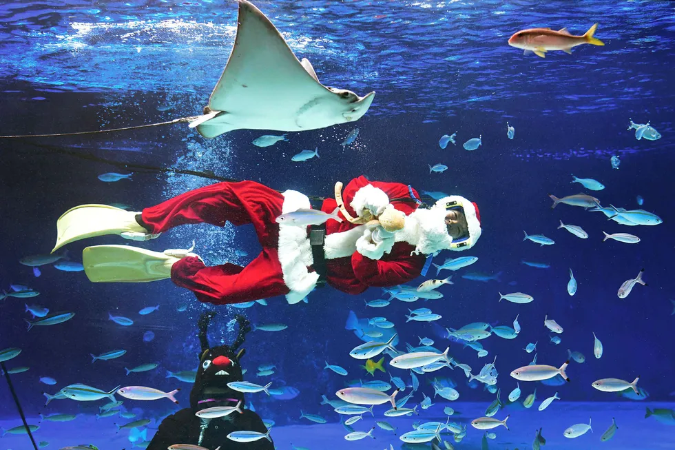 Julenissen dykker i desember i akvarier verden over. Her fra solskinnsakvariet i Tokyo.