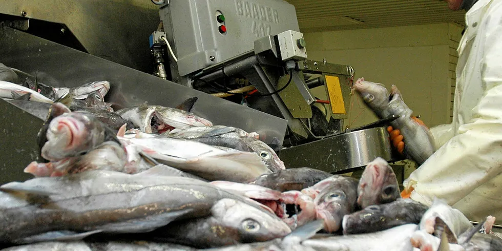 UHOLDBART: Kontrollmyndighetene har avdekket en rekke ulovligheter ved fiskebruk i Vesterålen og Lofoten. Det er ødeleggende for en hel næring, skrev Fiskeribladet på lederplass tidligere i år.