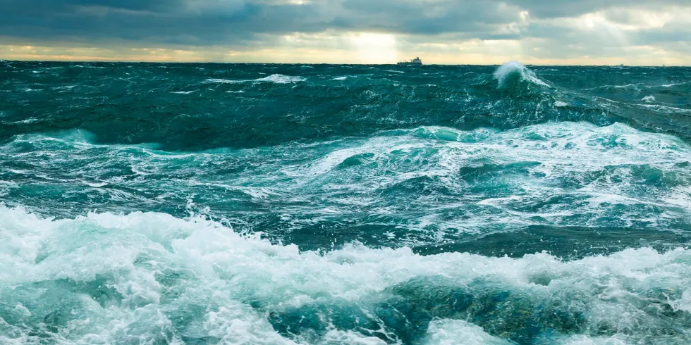 Værfenomenet El Niño, som her skaper bølger i Stillehavet, kan påvirke prisene på pelagisk fisk framover.