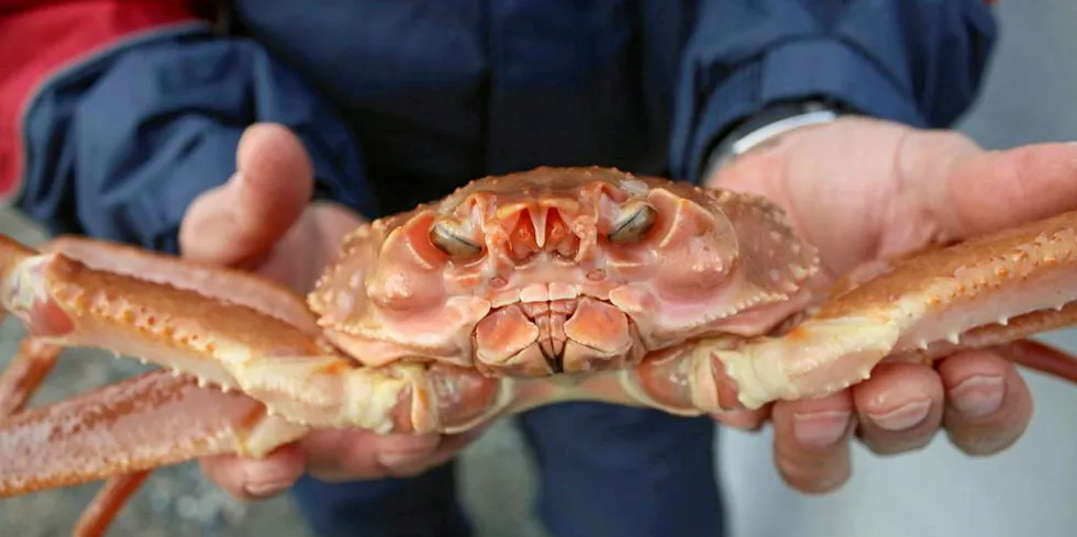 It will be Norway's first MSC-certified crab fishery.