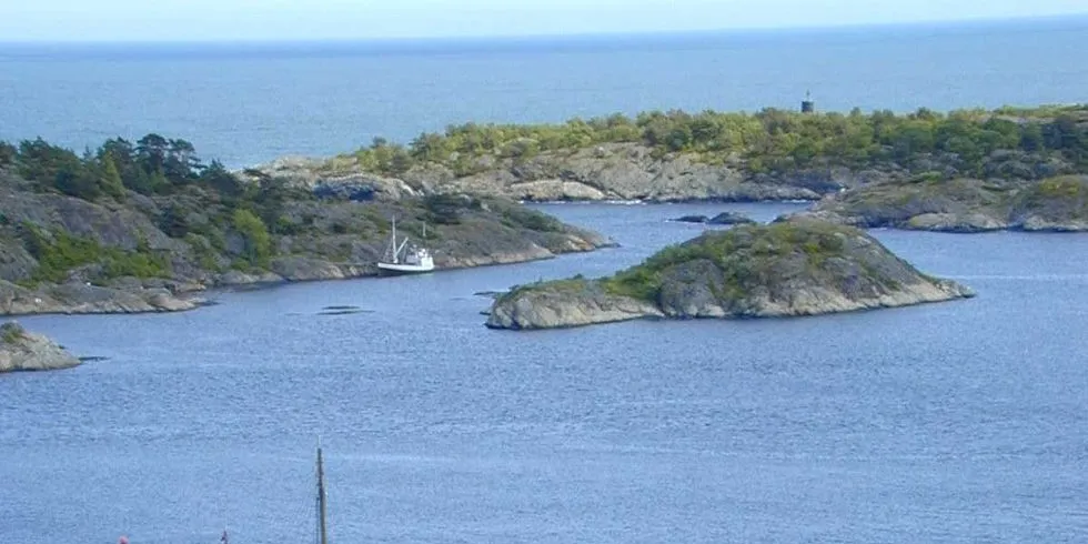 Risør fiskemottak. Arkivfoto: Gunn Hedberg