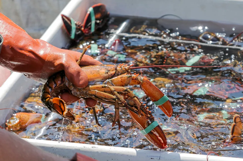 A group of Massachusetts lobstermen has dropped a class action lawsuit against Monterey Bay.