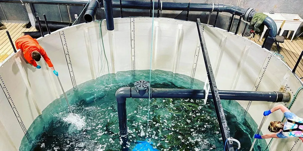 Sustainable Blue runs a zero-discharge recirculating aquaculture system (RAS) in Atlantic Canada's Nova Scotia.