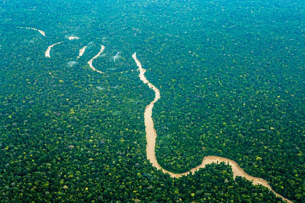 Initiative: The Amazon Rainforest.