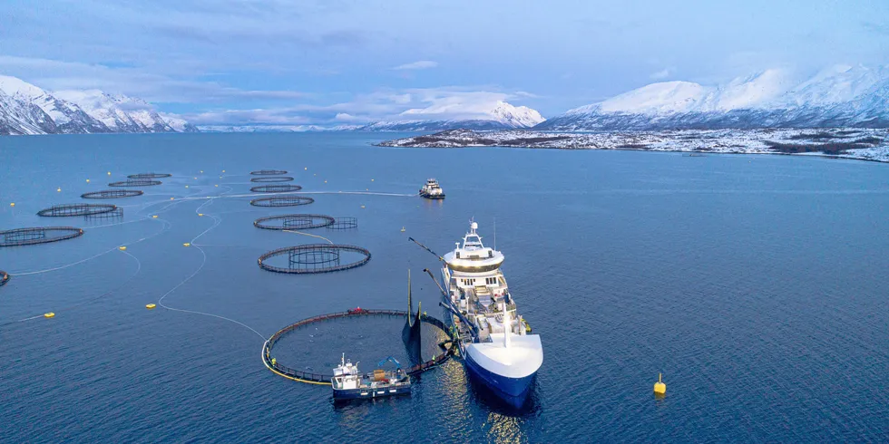 Det er nødvendig med et lønnsomt næringsliv dersom det også i framtida skal være liv laga for distriktene i vår landsdel, skriver Oddmund Enoksen fra Sortland.