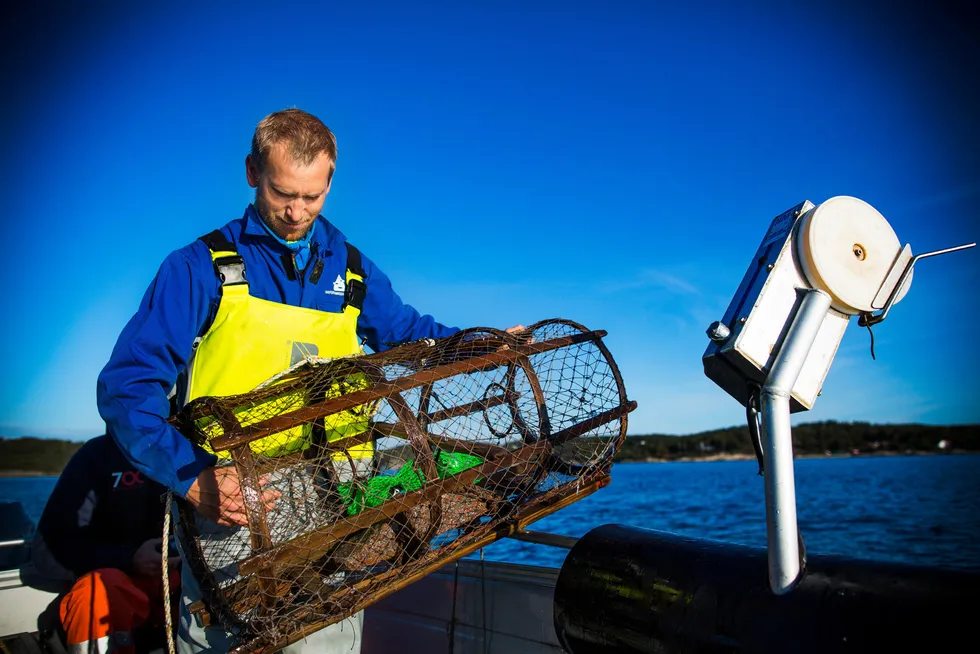 Hummerforsker Alf Kleiven ved Havforskningsinstituttet mener det må langt skarpere lut til for å bygge opp hummerbestanden.