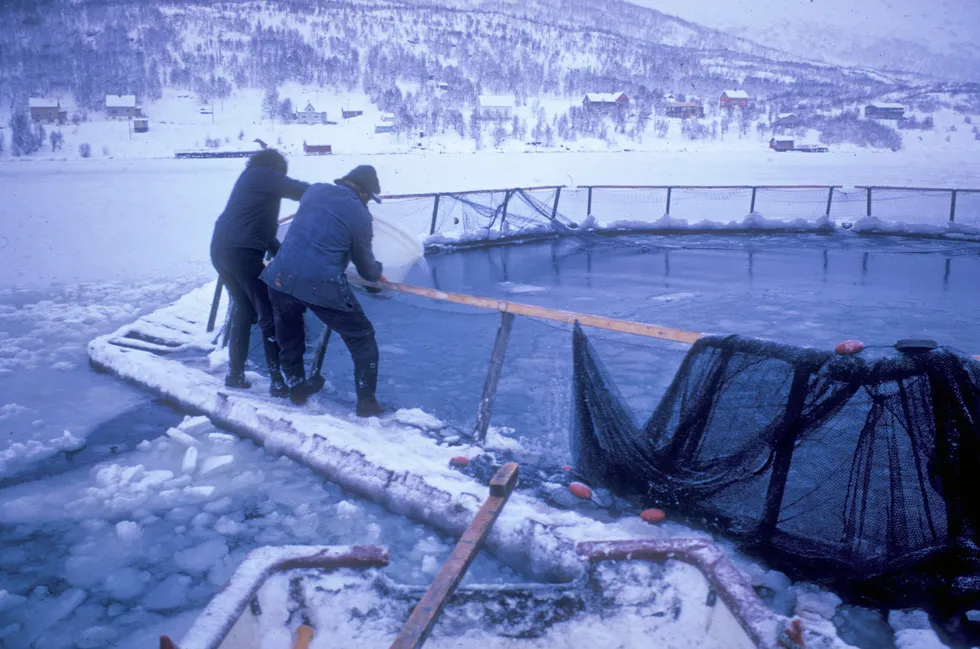 Bildet er tatt på oppdrettsanlegget til Leonhard Hansen i Kaldfjord på Kvaløya ved Tromsø i 1974. UiT (Universitetet i Tromsø) hadde et samarbeid med Leonhard Hansen. De hadde ei forsøksmerde ved anlegget, hvor de tok prøver og drev forskning. Selve fisken i merda tilhørte L. Hansen.