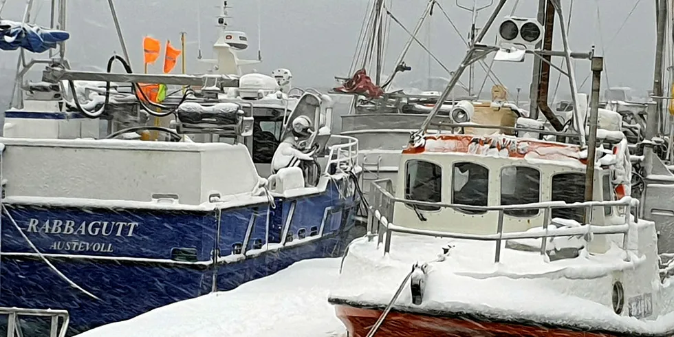 UVÆR: Den minste flåten har vært mye rammet av uvær de siste ukene. Her er det fremmedflåten i Sør-Troms som ligger ved kai i Harstad og venter på at kuling og snøbyger skal gi seg.