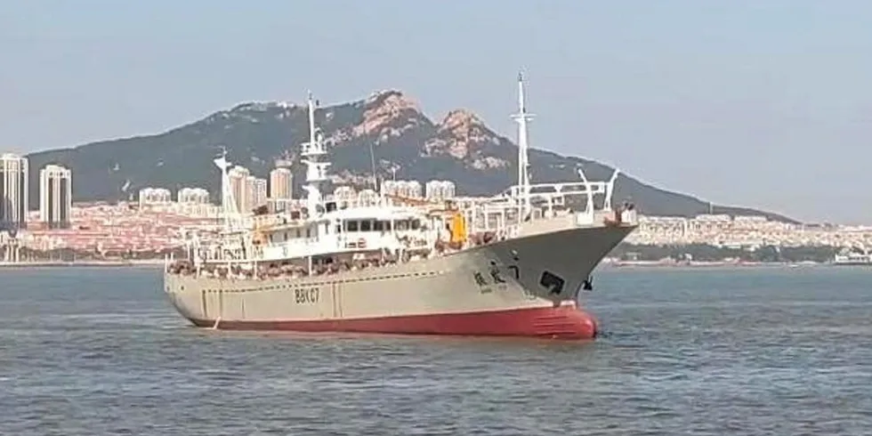 Operated by Rongcheng Wangdao Ocean Aquatic Products, the Zhen Fa 7 has been accused of using forced labor to produce squid that was allegedly sold by Sysco, Kroger and others.