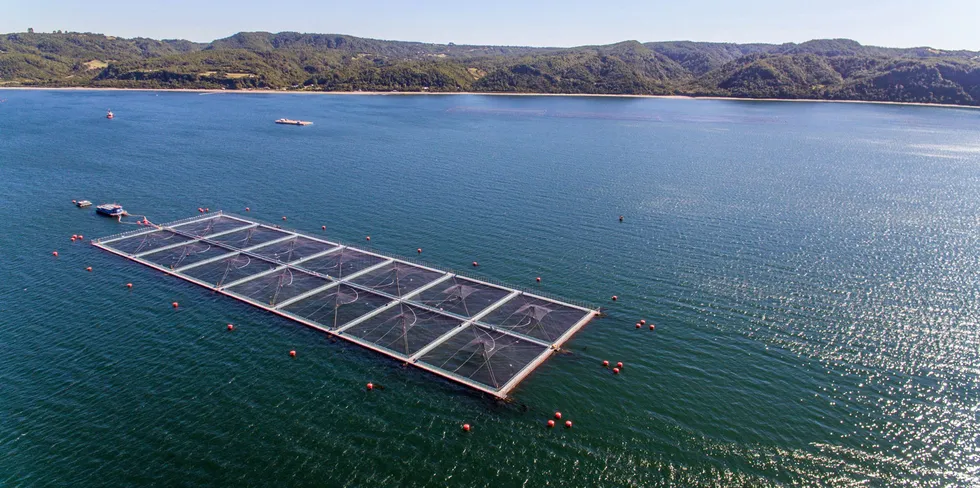 Et av anleggene til Salmones Camanchaca i Chile.