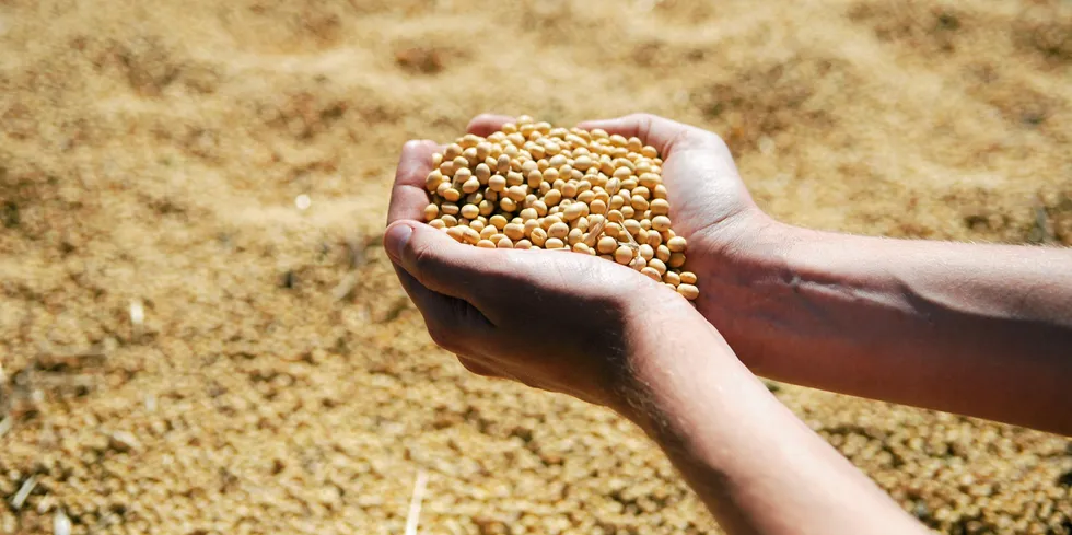 Fishmeal supply and demand is in lockstep but will demand for soybeans disrupt the market balance.