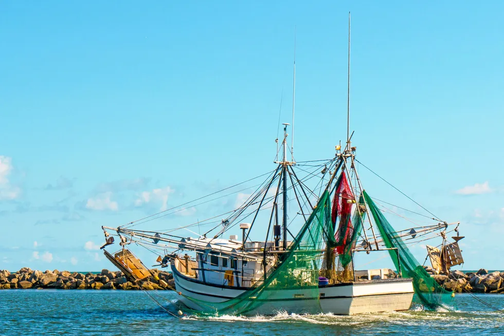 The USDA is seeking shrimp from domestic producers.