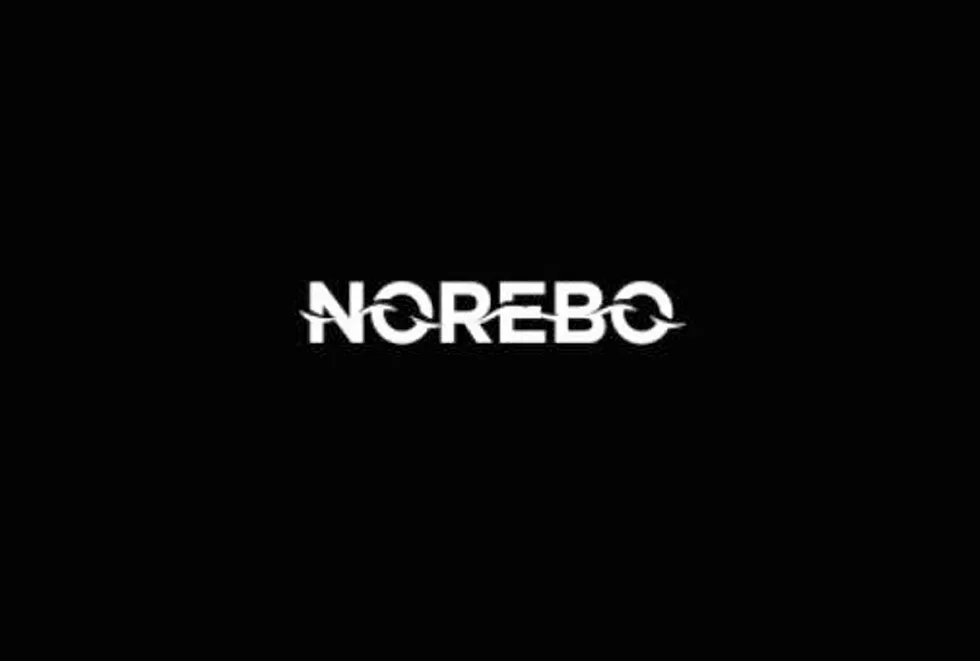 Norebo Holding is the parent of 14 major fishing companies in Russia.