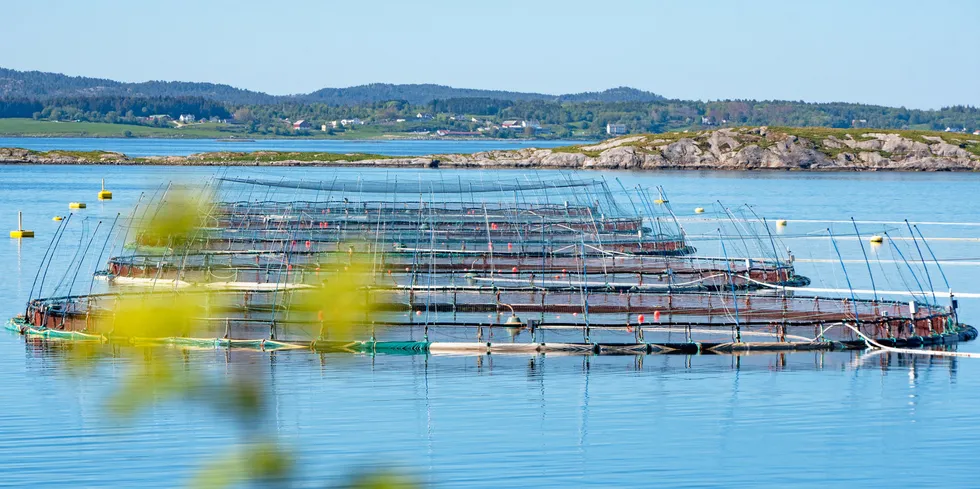 Kommuner med lokaliteter til oppdrett av laks, ørret og regnbueørret i sjøvann som mottar midler fra Havbruksfondet. Frøya, Nærøysund og Senja er kommunene som får utbetalt mest.