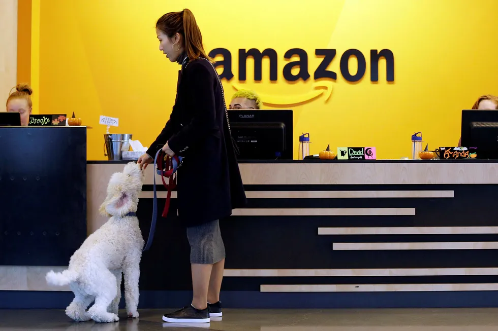 En ansatt gir hunden sin en kjeks ved Amazons hovedkontor i Seattle, Washington.