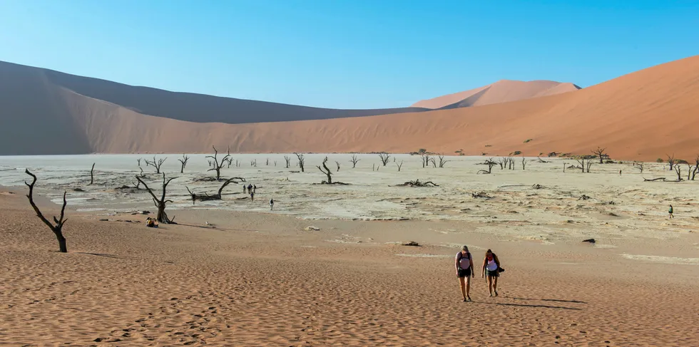 Namibia has huge space and a small population.