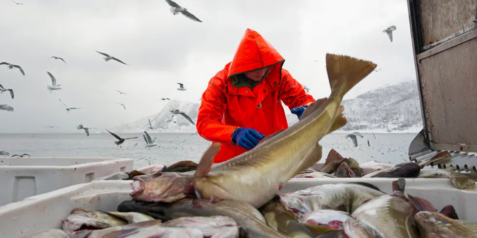 Uvær og lavere kvoter bidro til at torskeeksporten i februar ble mindre enn på mange år.