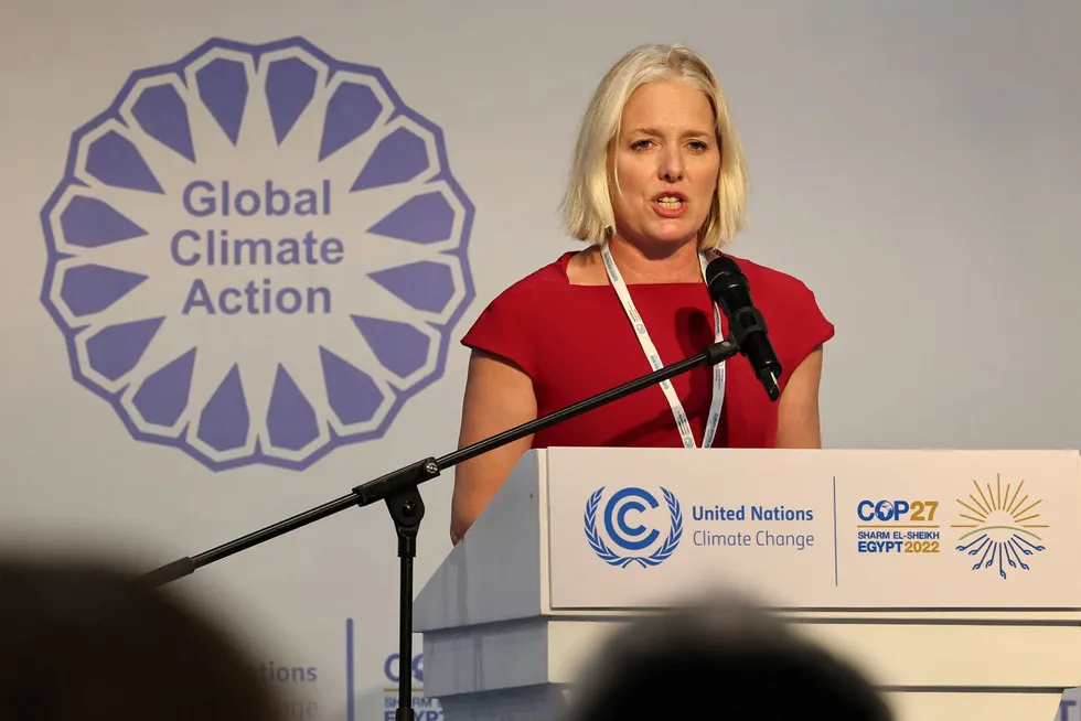 Commitments: UN group chair Catherine McKenna at COP27.