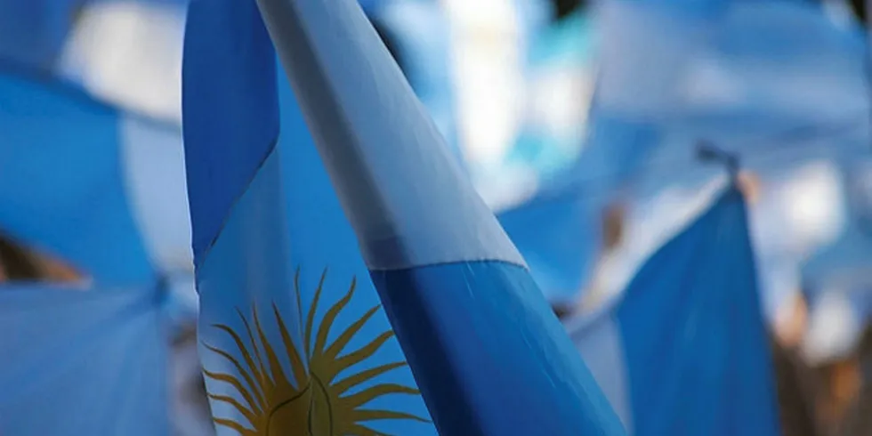 World Bank approves $250m guarantees for Argentine renewables