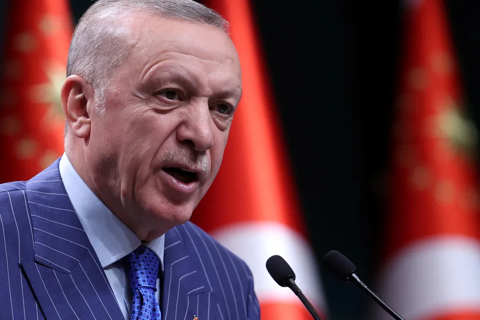 Å innlemme dem i alliansen vil være en feil, sa den tyrkiske presidenten Recep Tayyip Erdogan fredag.