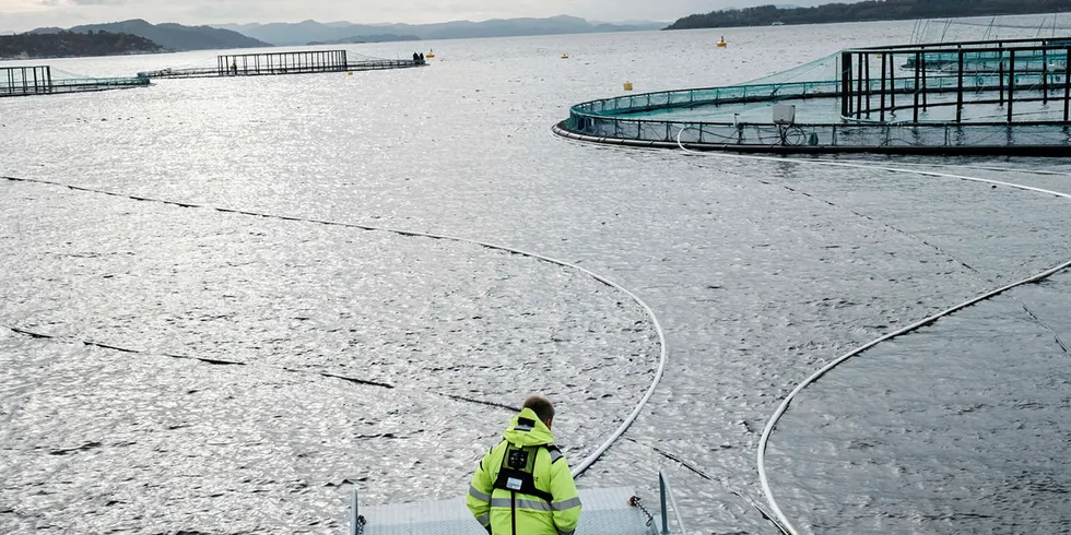 LANGT IGJEN FOR Å MATCHE OLJE- OG GASS: En lakselokalitet til Marine Harvest i Rogaland. Sjømatnæringen tjener for tiden gode penger. Men det er langt igjen for å kunne matche olje- og gassnæringen.