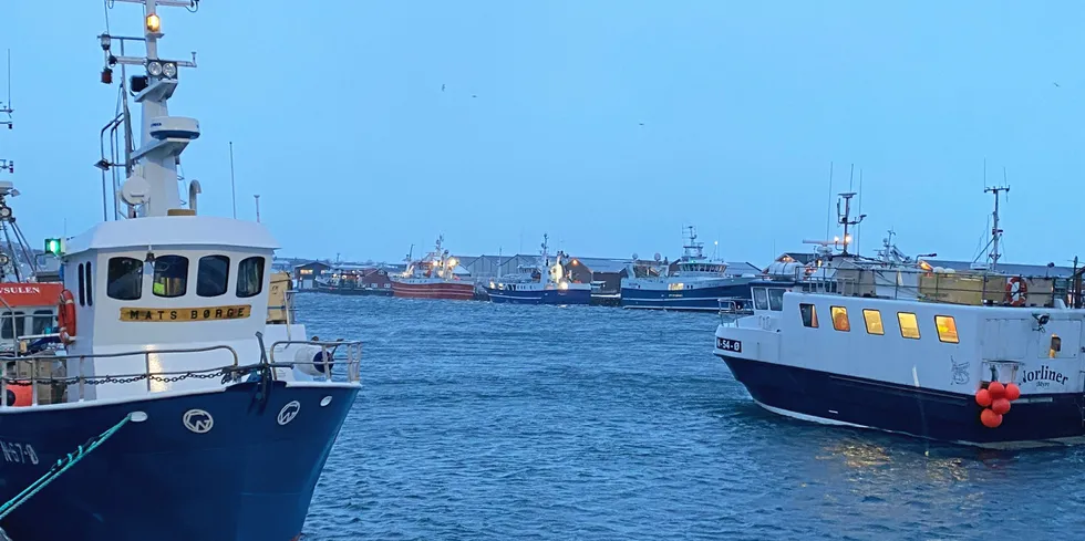 Det er meldt vestlig liten storm på fiskebankene utenfor Vesterålen fra onsdag. I Myre havn har både liten og stor kyst søkt ly for været. «Mats Børge» og «Norliner» i front, «Ballstadøy», «Leander» og «Sulehav» i bakgrunnen.